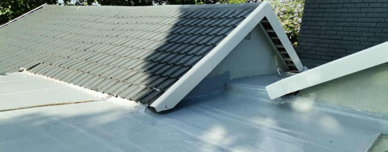 Roof repairs Pretoria, close to Johannesburg (Gauteng, South Africa),  waterproofing, painting, maintenance, residential, commercial and  industrial buildings - Tremco